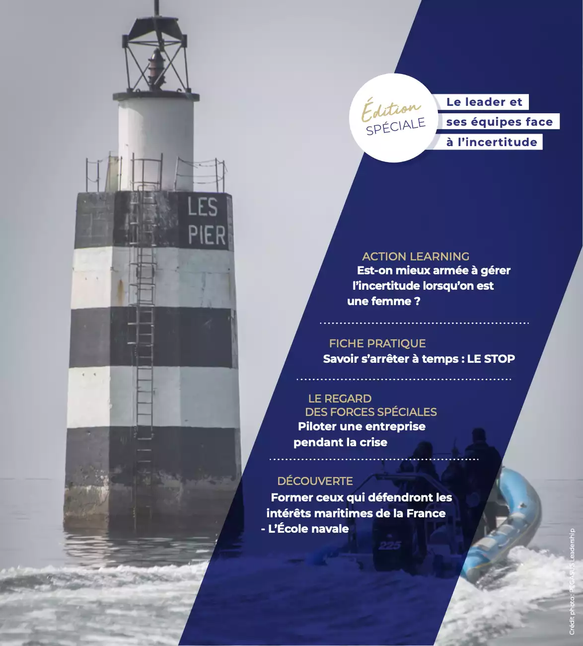 Action Learning le magazine de Pegasus Leadership sur le management le leadership pour équipes et talents
